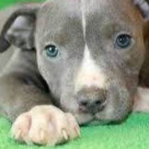 Meet your Posher, Kaelee